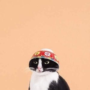 Meet your Posher, Shantae